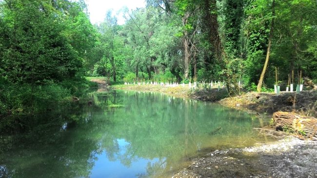 riqualificazione-parco-oglio-02