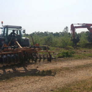 Bonifica terreno post taglio