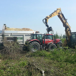 Fase di cippatura