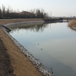 Contenimento scarpata con georete e talee di salice