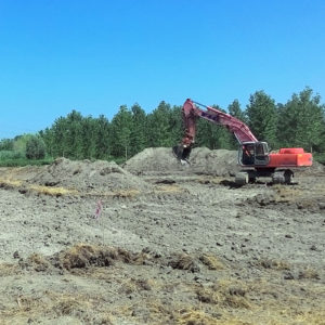 Realizzazione nuova area umida
