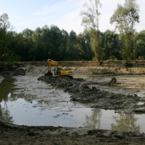 Ripristino area umida