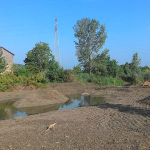 Realizzazione nuova area umida