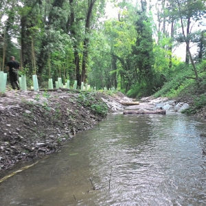 Nascondigli per pesci in canale di Oglio