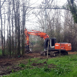 Fresatura forestale di scarpata morfologica