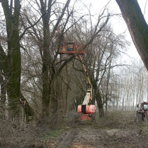 Messa in sicurezza percorsi forestali