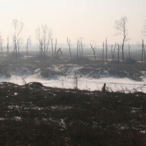 Manutenzione fasce arboree in ambito forestale