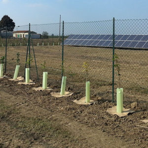Fotovoltaico Marcaria