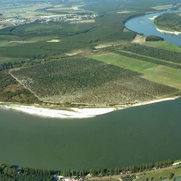 area golenale fiume Po