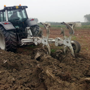 Preparazione del terreno