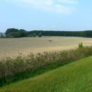Ostiglia – Mantova