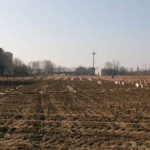 Parco del Lugo – Cremona
