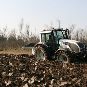 Preparazione del terreno