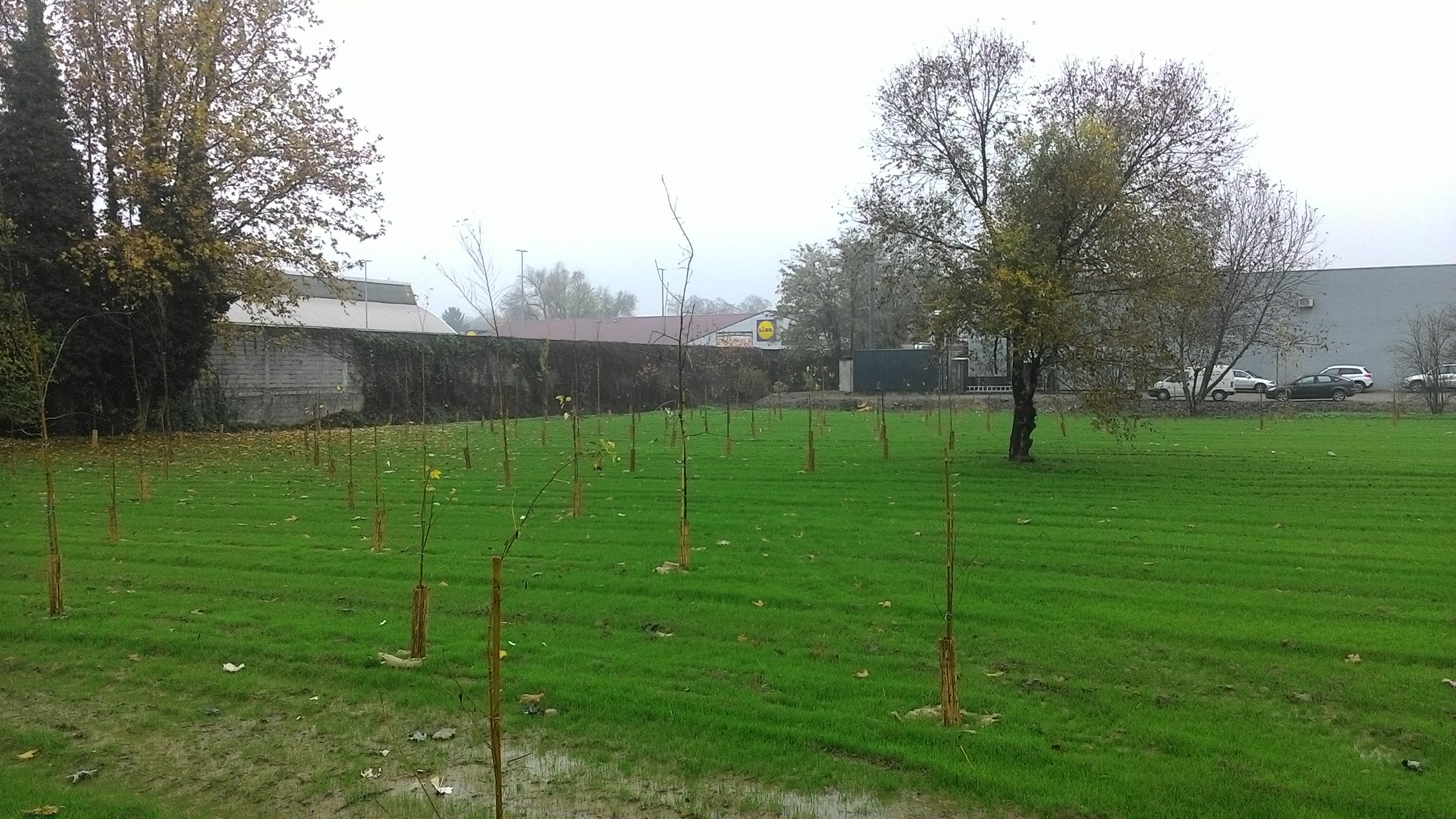via bredina