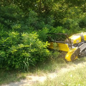 Robomax 75 CV – Trincia forestale rotore denti a scomparsa