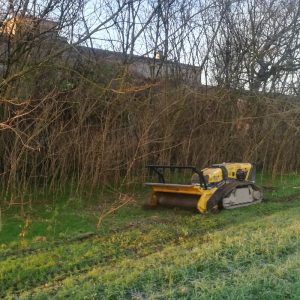 Robomax 75 CV – Trincia forestale rotore denti fissi