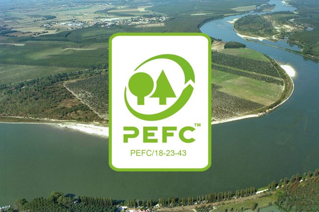 Riforestazione-pefc