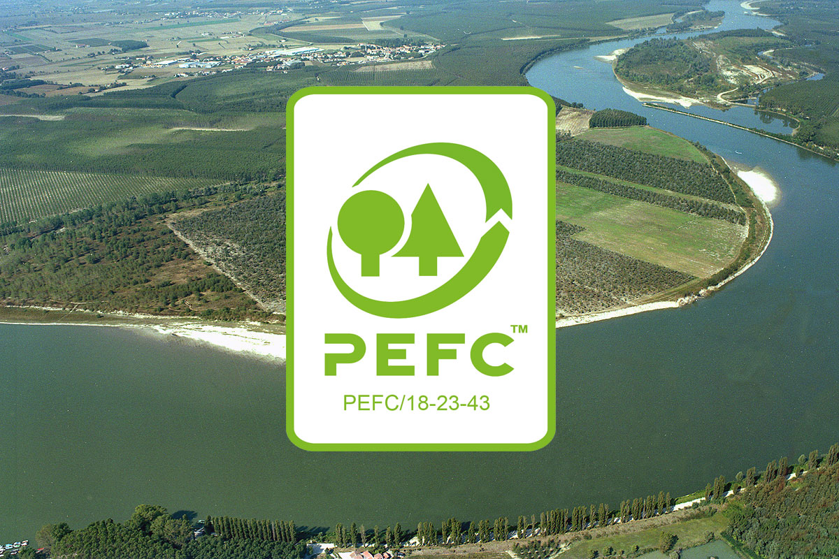 Riforestazione-pefc